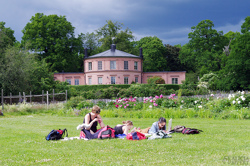 Rosendals trädgård, foto av Alicia Sivertsson. aliciasivert alicia sivert alicia sivertsson djurgården stockholm utflykt utflyktsmål friluftsmåleri rosendals trädgård slott