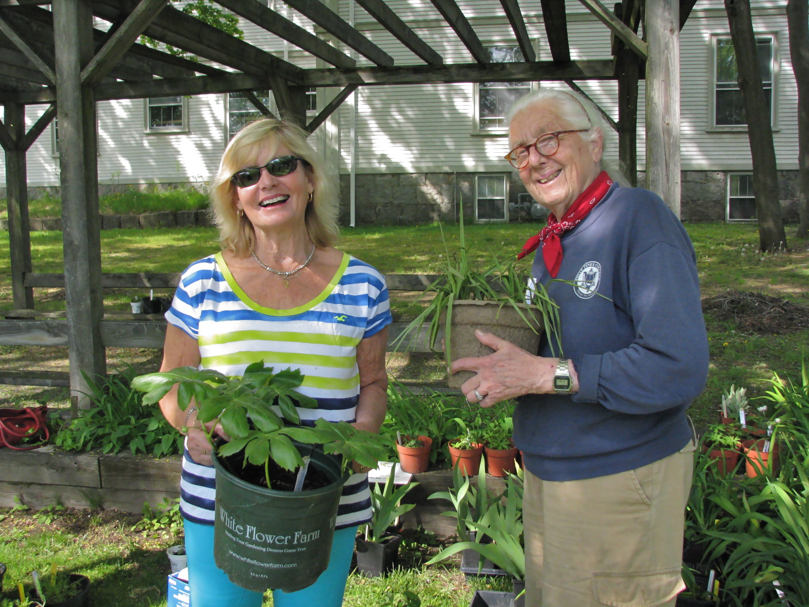 Ipswich Garden Club Annual Plant Sale