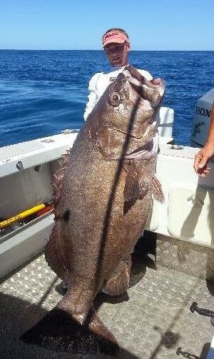 Big Fishes of the World: HAPUKA BASS page 2