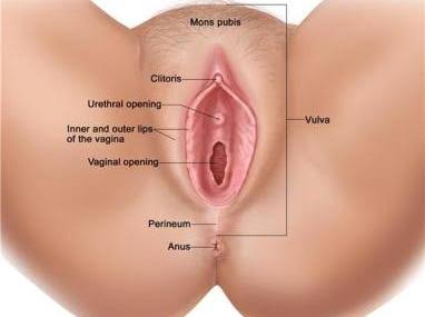 pics of a clean vagina Pics of a clean vagina