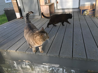 You can see how Patty warns Sweetie to stay back!