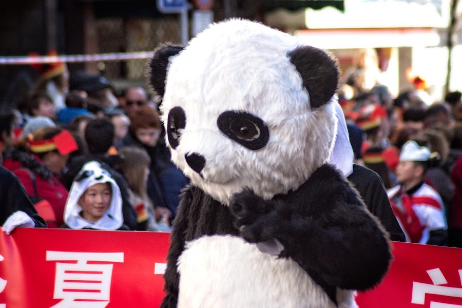 Desfile del Año Nuevo Chino 2018. Año del Perro