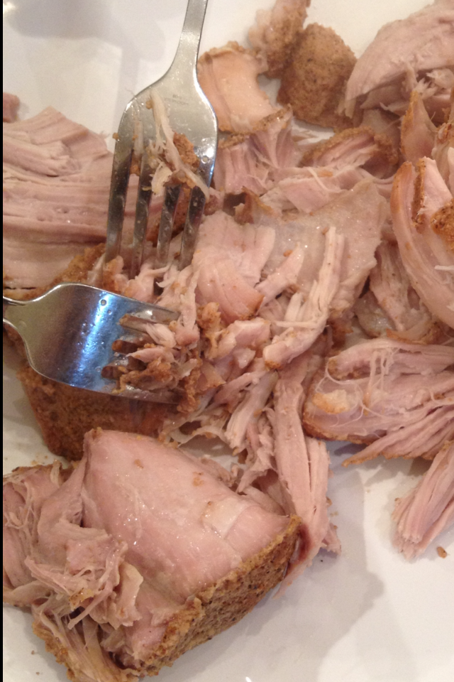 Little Magnolia Kitchen PAULA DEEN'S PULLED PORK (adapted)