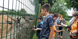 Zoo de Santillana del Mar.