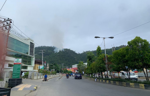 Pemkot Jayapura Akan Tertibkan Pelaku Pembakaran Hutan di Perbukitan Apo Pemkot Jayapura Akan Tertibkan Pelaku Pembakaran Hutan di Perbukitan Apo