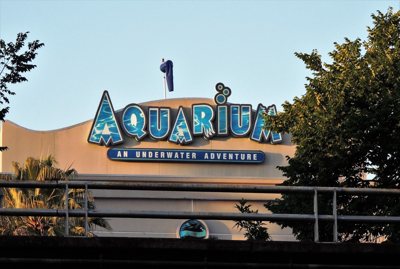 Houston in Pics Downtown Ferris Wheel