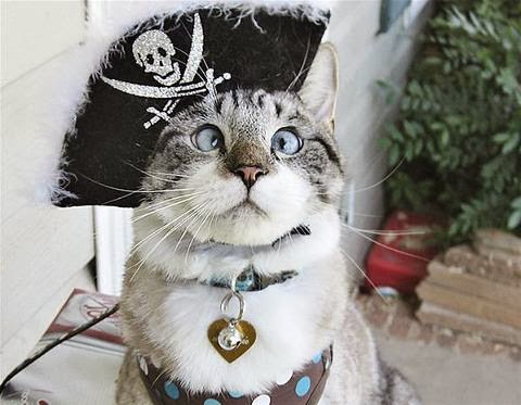 A vida pirata é a vida mellor. . .