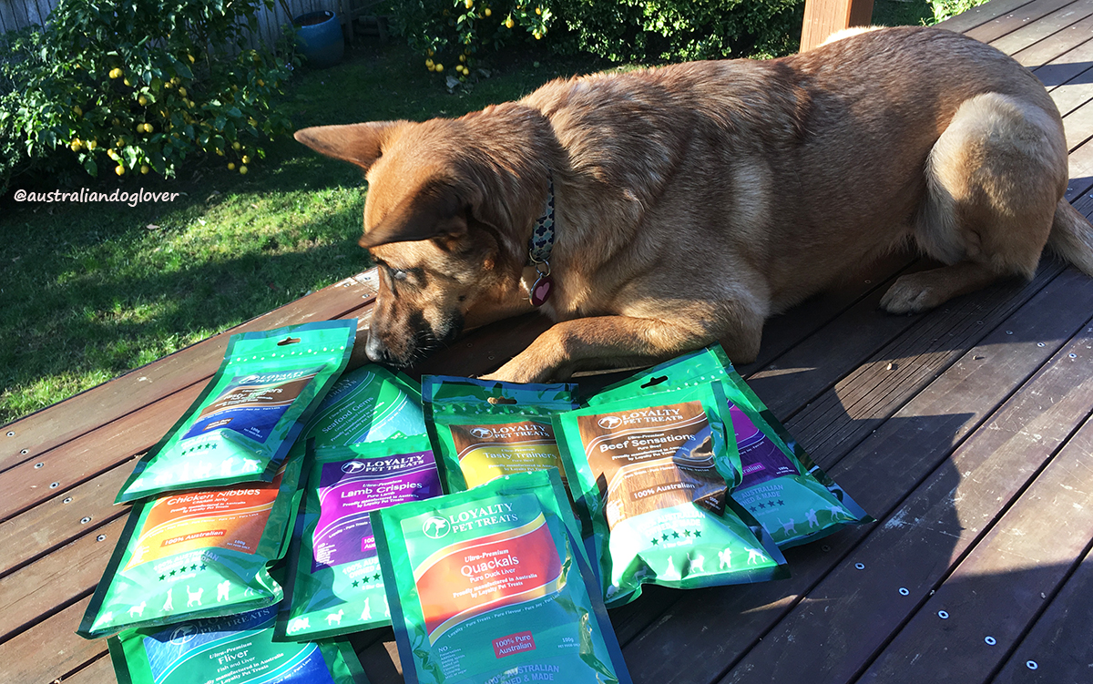 Loyalty Pet Treats for Dogs Review Australian Dog Lover
