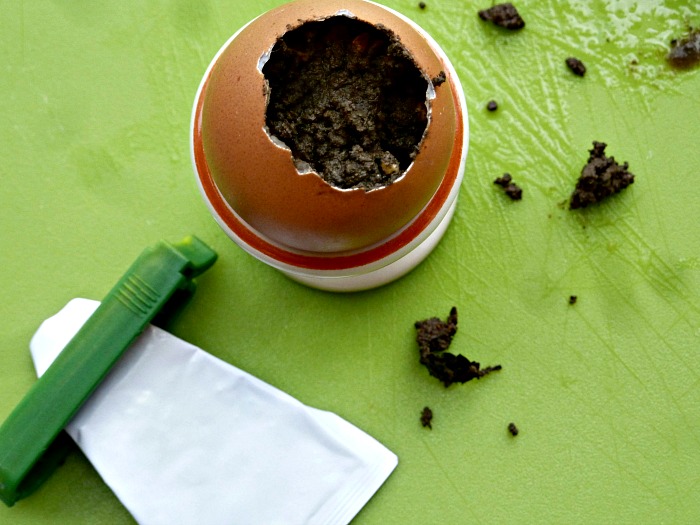 How to Plant Seeds in Eggshells Start a Mini Garden AppleGreen Cottage