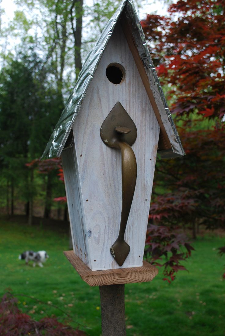 Bird In Everything Recycled Bird House