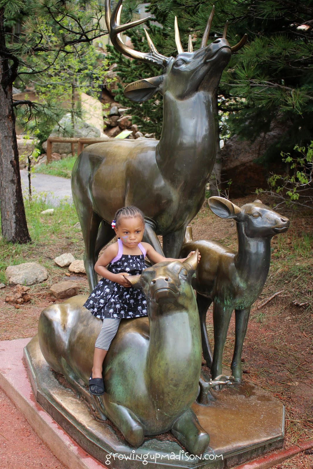 A Day at the Cheyenne Mountain Zoo – Almost Wordless Wednesday
