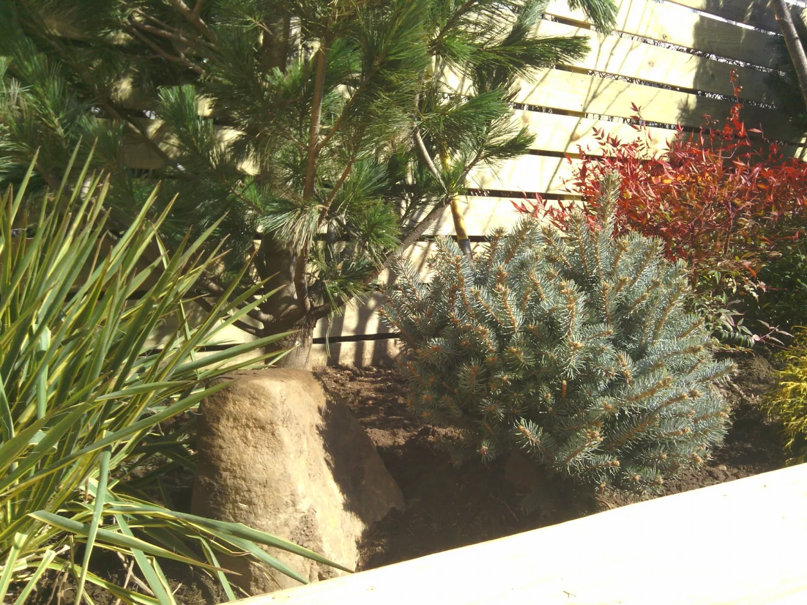 newyorkplantings,New York Plantings,Urban garden design,small yard landscape design ideas,NY Plantings,drip irrigation
