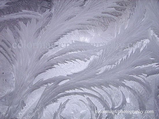Ice crystal flowers- beautiful frost pattern