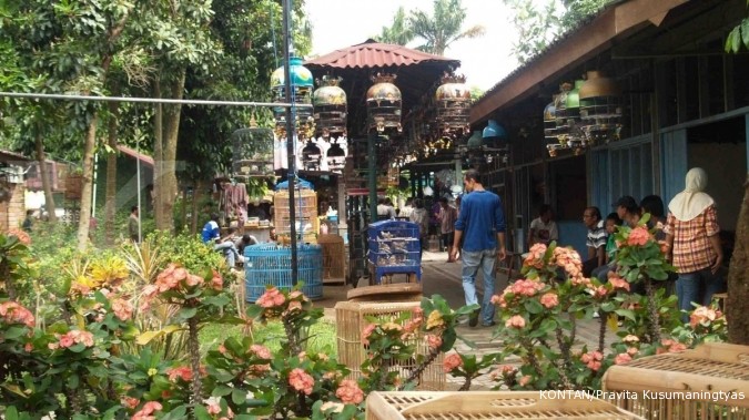 Pasar Hewan Pasty Yogyakarta Pasar Hewan Dan Tanaman Hias Pasty Outing Jogja Paket Outing Wisata Ke Yogyakarta