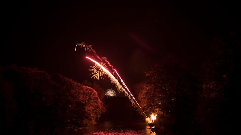 Fireworks on the Night Sky