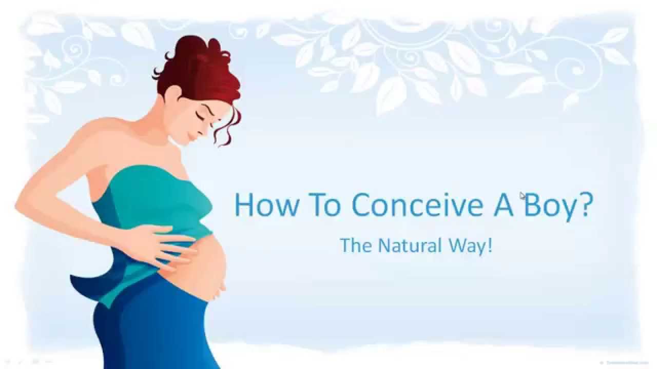 How to Conceive a Boy Top Knowledge About Health