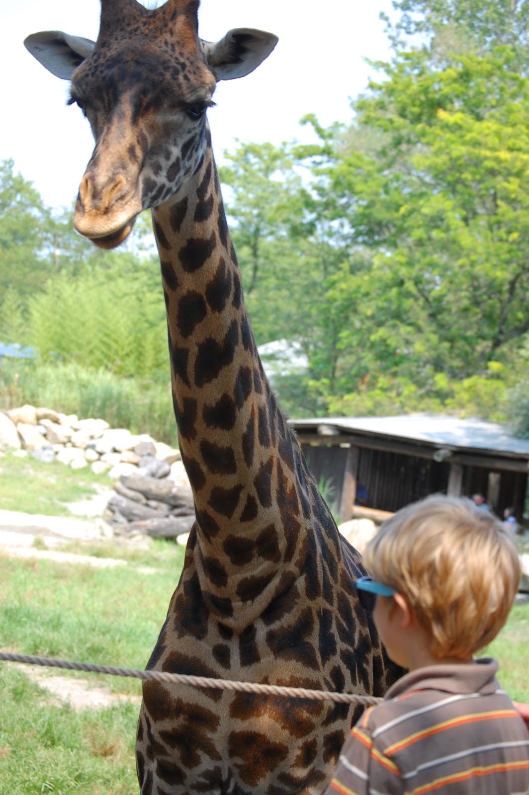 The Stevens Family Roger Williams Zoo!