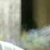 Periodista fuma marihuana mientras entrevista al presidente José Mujica (Info + Video)