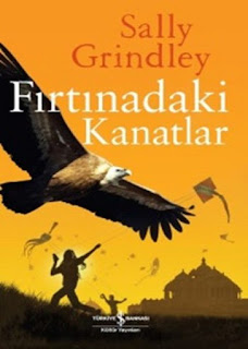 Fırtınadaki Kanatlar Fırtınadaki Kanatlar