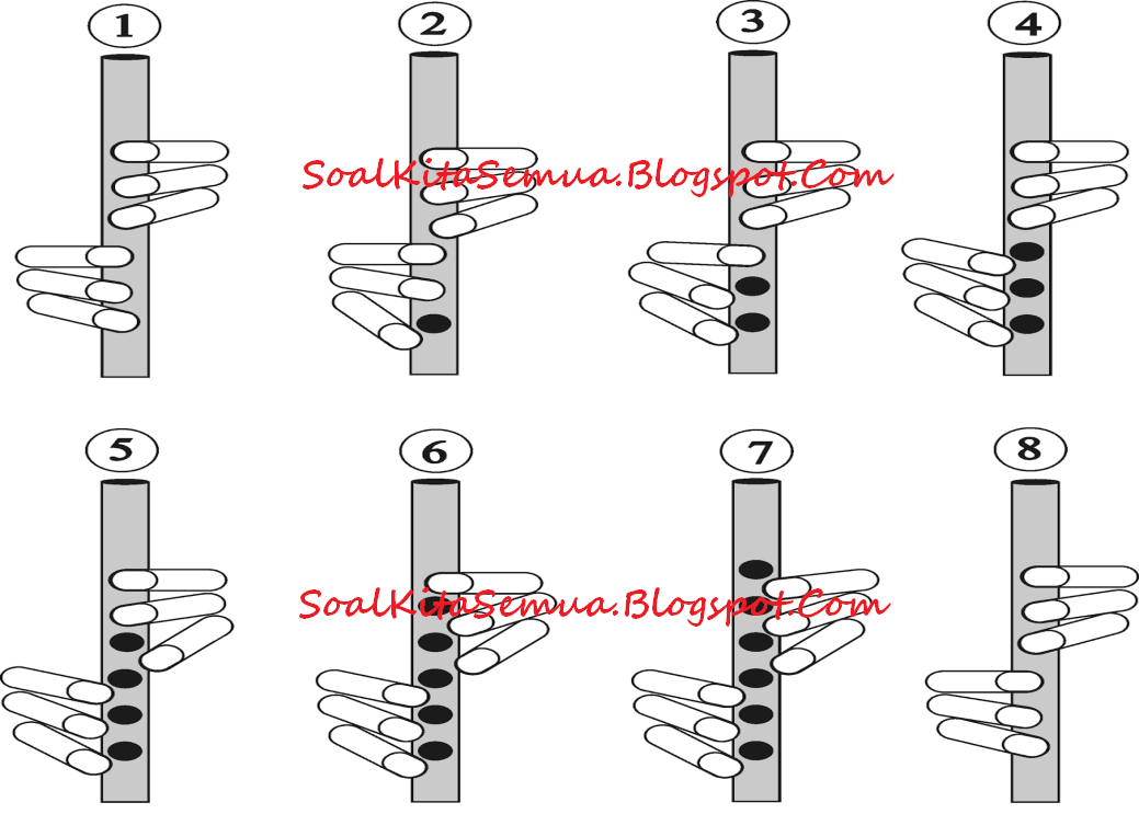 Bagaimana Cara Memainkan Alat Musik Rekorder