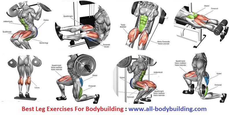SEARCH AND BUY THIS PRODUCT Best Leg Exercises For Bodybuilding