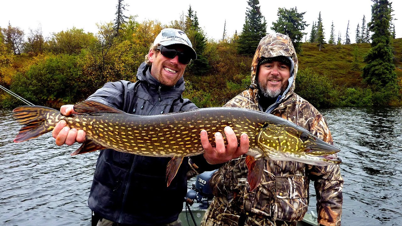 Alaska Pike Fishing Fish Choices