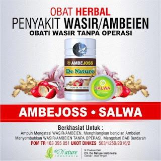 Obat Wasir Cepat Sembuh Menghilangkan Benjolan di Dubur