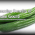 Amazing Benefits of Snake Gourd