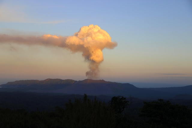 2016090162tanna.JPG