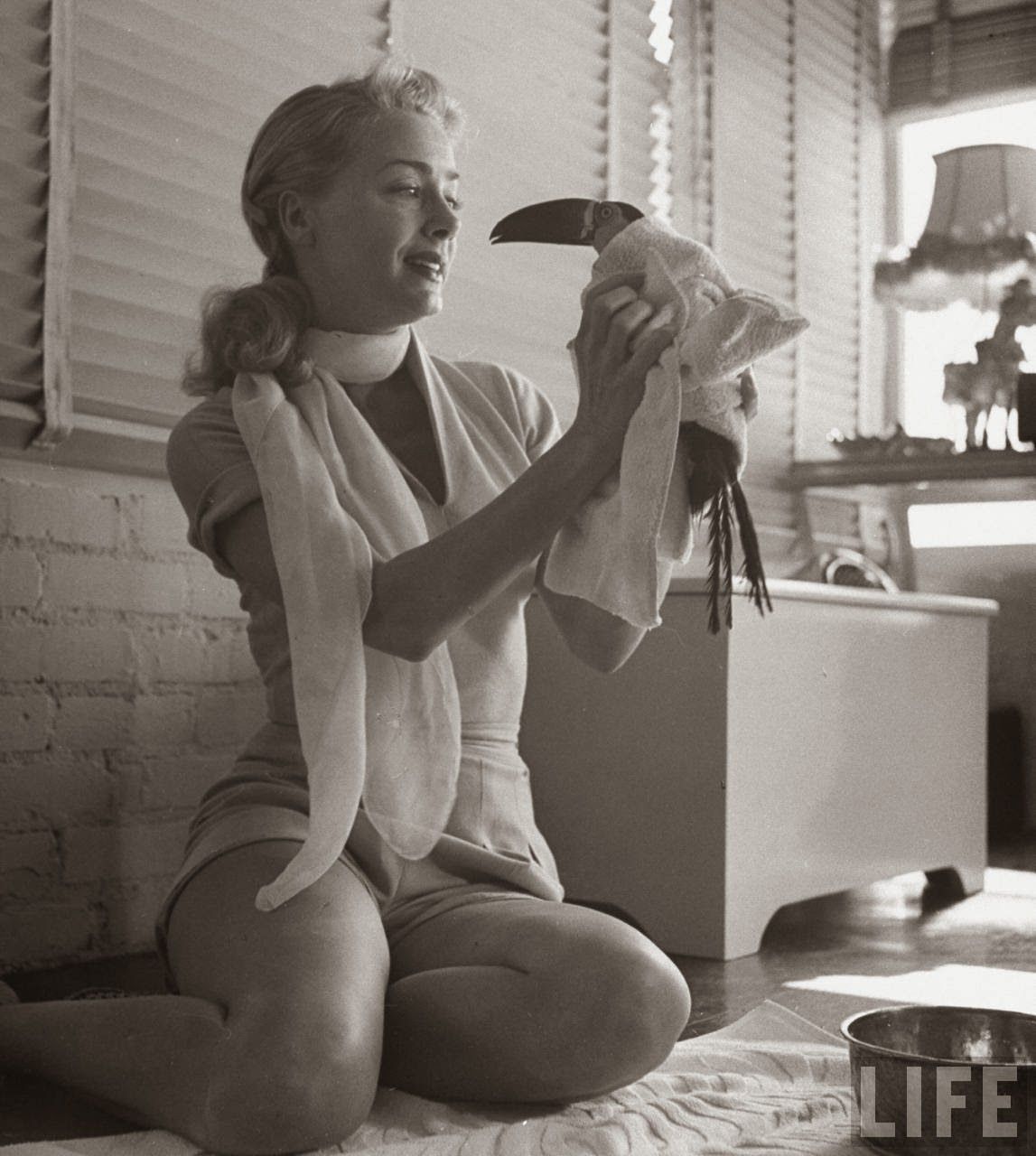 Watch June Havoc video Watch June Havoc video