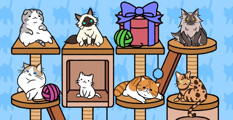 3 jogos para celular para quem ama gatos
