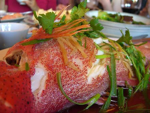 Stuffed Flounder with Mushroom-Sherry Sauce