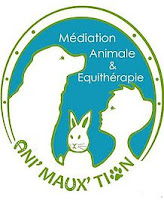 Logo d'Ani'Maux'Tion. Association de médiation animale et d'équithérapie.