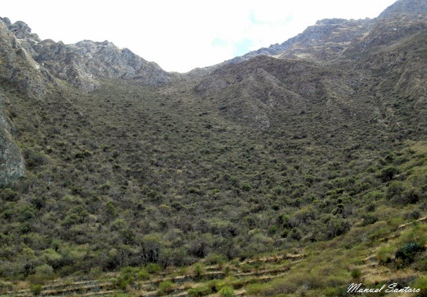Bosque de Lloclla Bosque de Lloclla