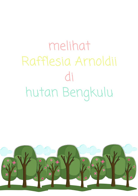 melihat bunga rafflesia arnoldii di hutan bengkulu melihat bunga rafflesia arnoldii di hutan bengkulu