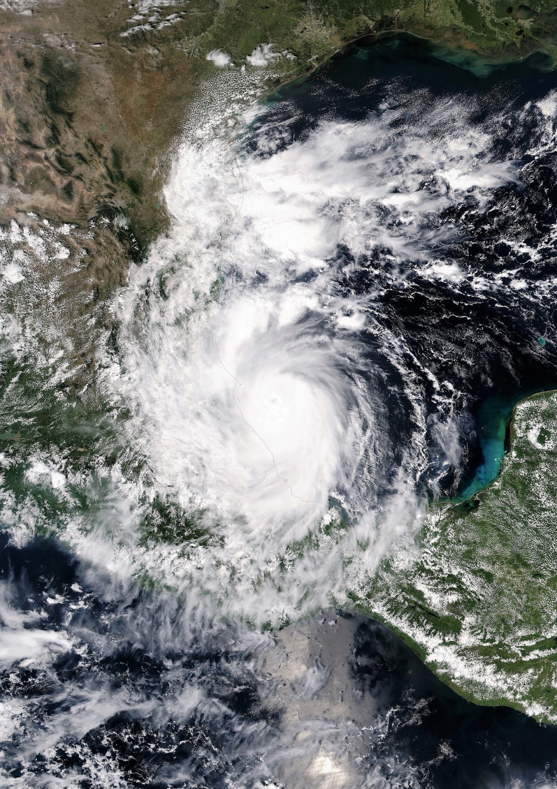 Professor Quibb Hurricane Katia (2017)