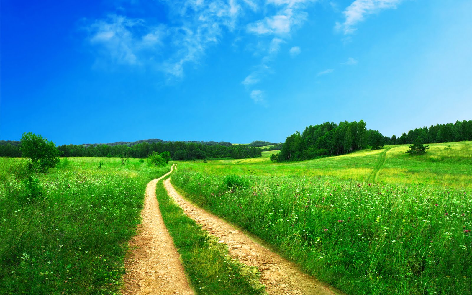 Hd Pics Of Nature: Colorful HD Scenery 2