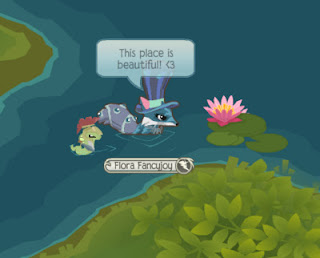 Animal Jam Bouncies: February 2013