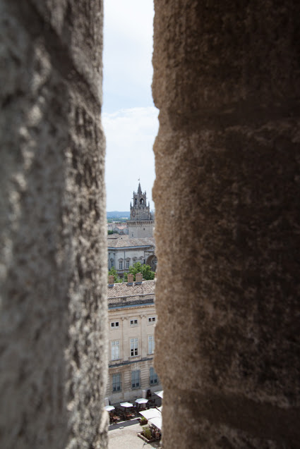 Avignone-Panorama dal Palazzo dei Papi