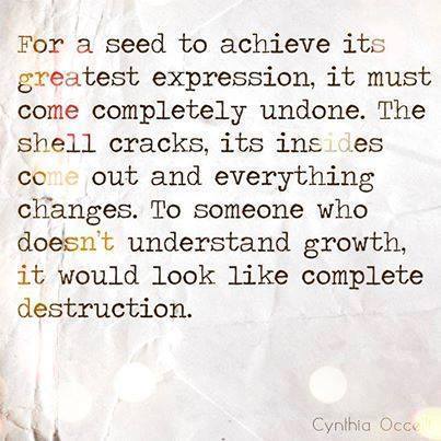 For a seed to achieve its greatest expression, it must come completely undone. The shell cracks, its insides come out and everything changes. To someone who doesn't understand growth, it would look like complete destruction_Cynthia Occelli