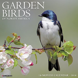 Garden Birds of North America 2018 Calendar