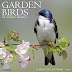 Download Garden Birds of North America 2018 Calendar Ebook by Willow Creek Press (Calendar)