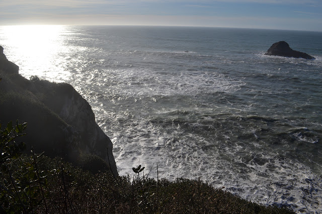 rocky parts of the headland