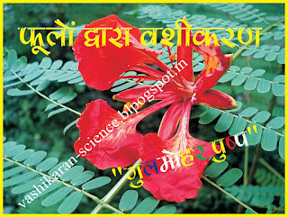 फूलों के नाम चित्र सहित, फूलों के नाम संस्कृत में, फूल नाम, फूल के फोटो, फूलों की जानकारी, फलो के नाम हिंदी में, फूलों के बारे में जानकारी, फूलों का महत्व, नदियों के नाम