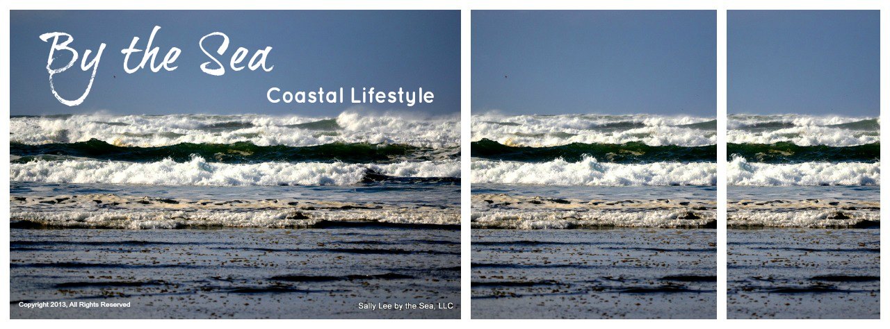 Sally Lee by the Sea Coastal Lifestyle Blog