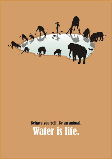Плакаты победители Недели воды