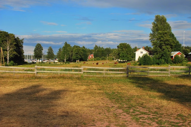 Högsåra - Näkymä kyläraitilta lehmihakaan ja vierasvenesatamaan