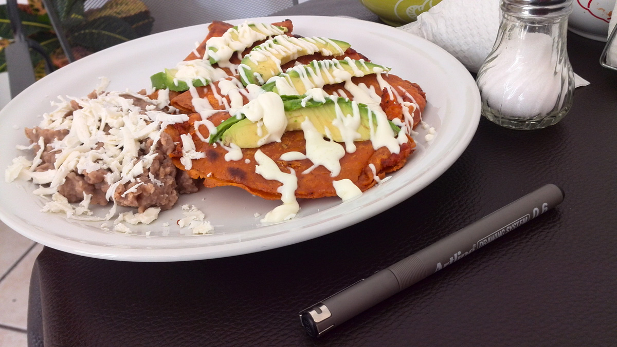 ¿A dónde ir a comer cerca de la UASLP ? CUALTRIN