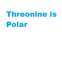 Threonine is Polar Threonine is Polar