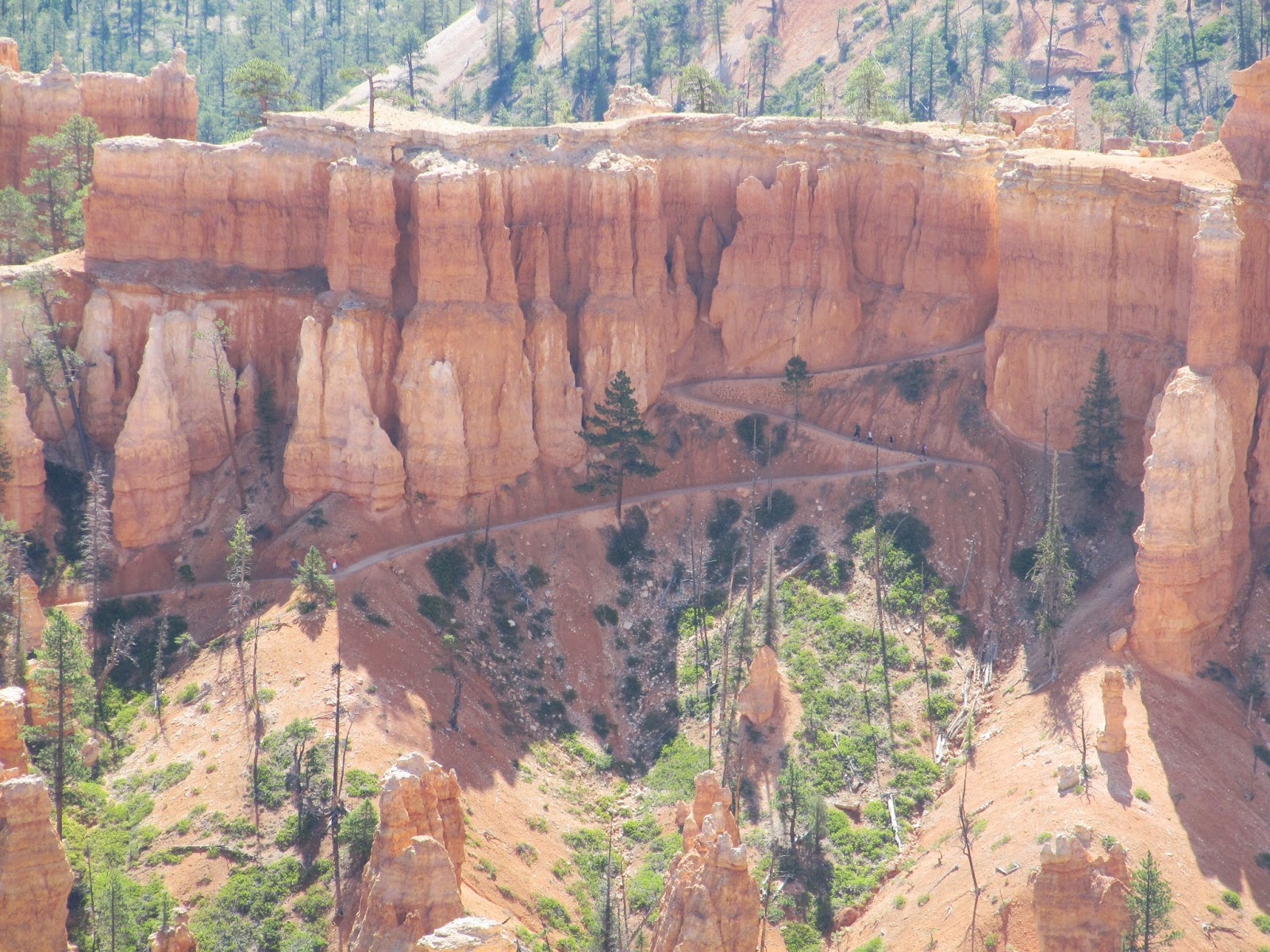 Midwest America, then the Big Apple! Bryce Canyon to Torrey